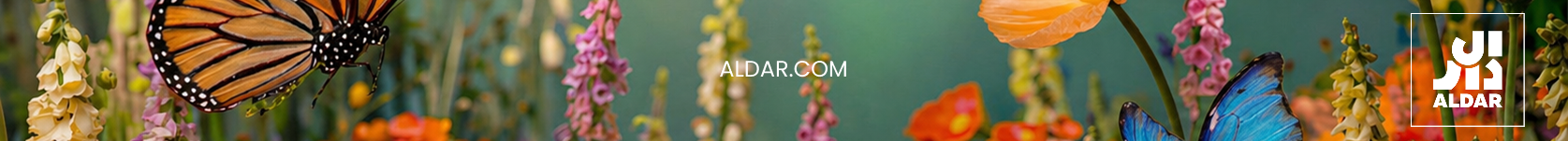 Aldar's Week of Wonder